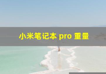 小米笔记本 pro 重量